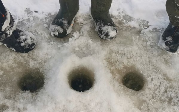 Раздача в канале