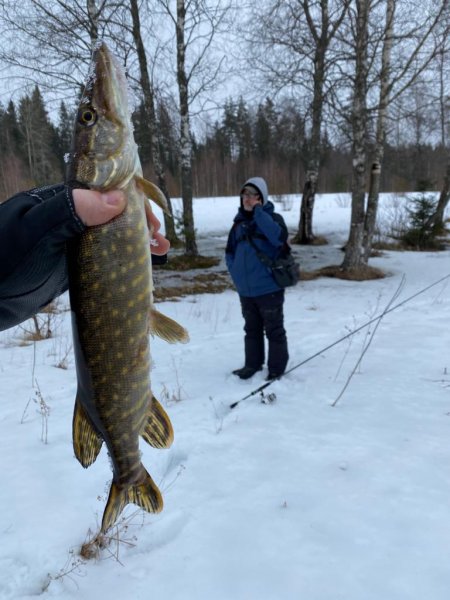 WhatsApp Image 2021-04-05 at 14.08.41.jpeg