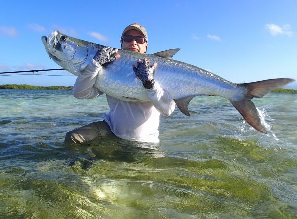 Tarpon2.JPG