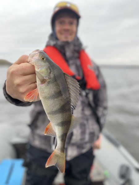 C33CD74A-C7BD-4AAF-8A44-A245084BA59A