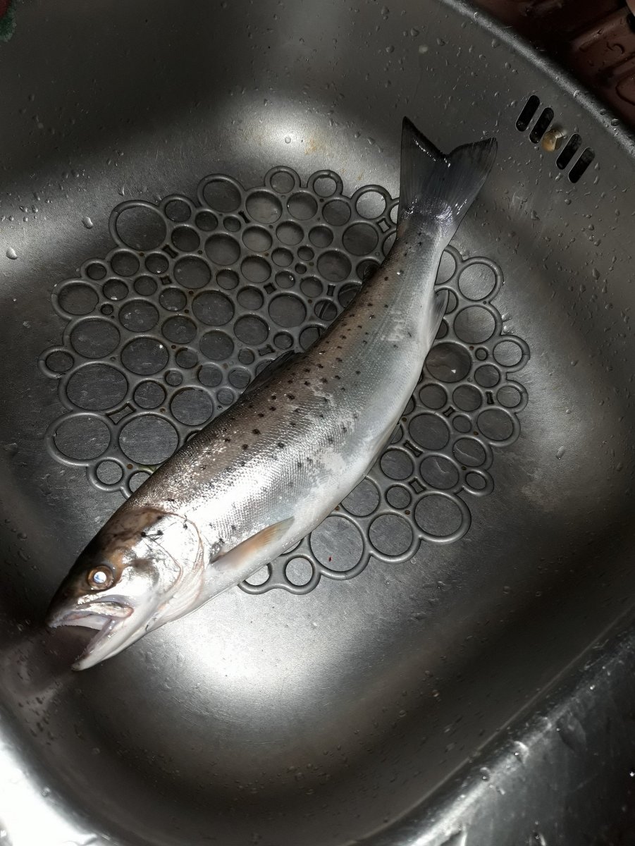 20211112_175259 (1).jpg