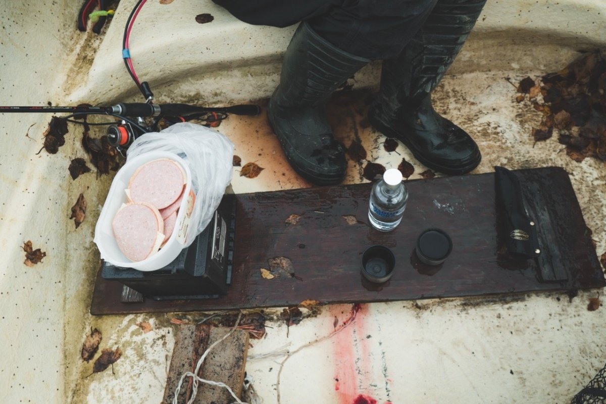 IMG03000 2 Large.jpeg