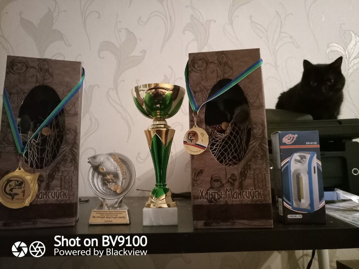 IMG-e2181074eaa73f508b9c0d0f0eb5fb79-V.thumb.jpg.790347a77880de02e3cc0f4a69e3cfaf.jpg
