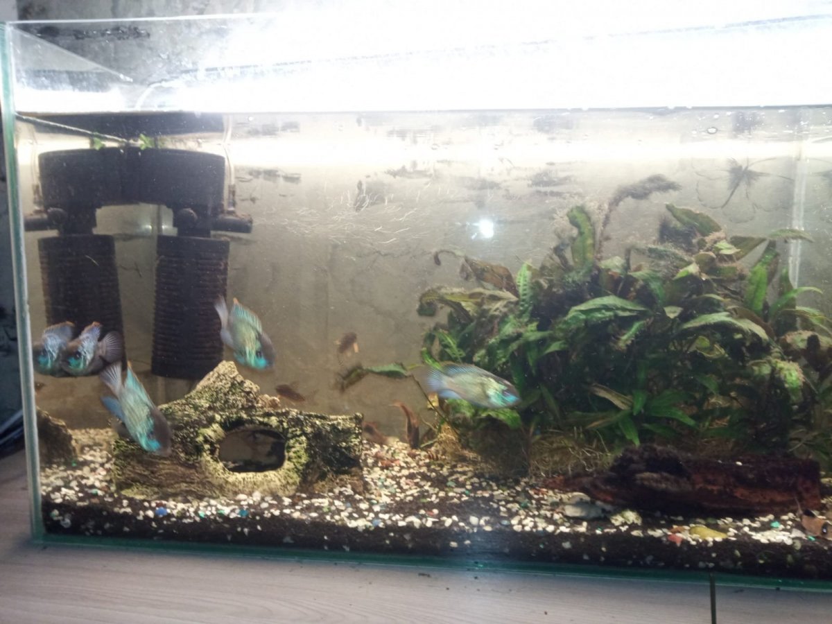 WhatsApp Image 2022-01-22 at 20.56.04.jpeg