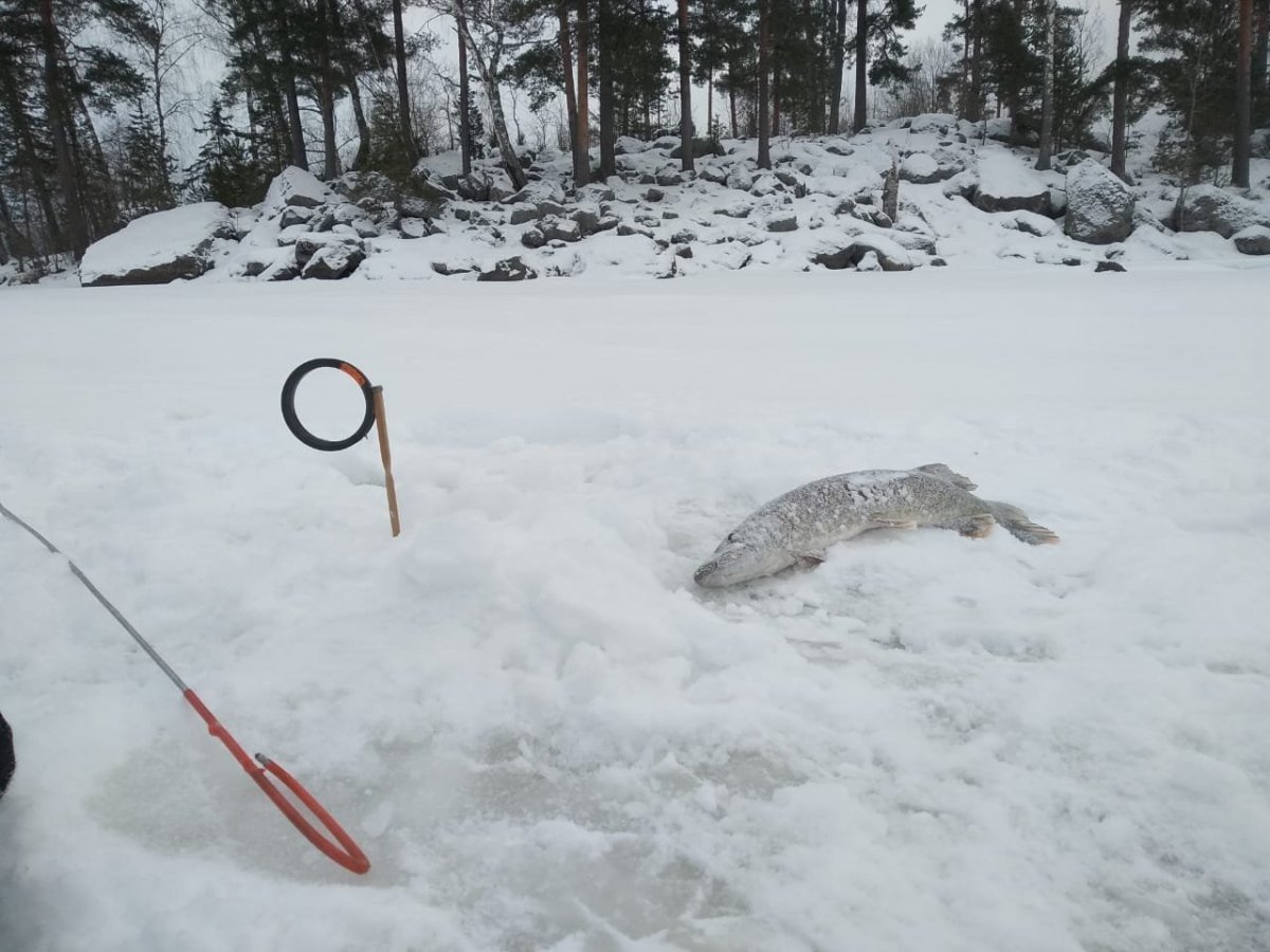 WhatsApp Image 2022-01-30 at 19.07.29(6).jpeg