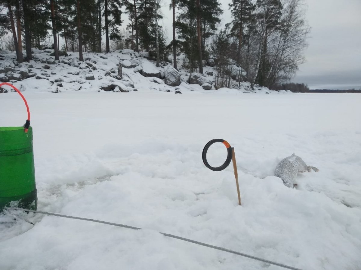 WhatsApp Image 2022-01-30 at 19.07.29(5).jpeg