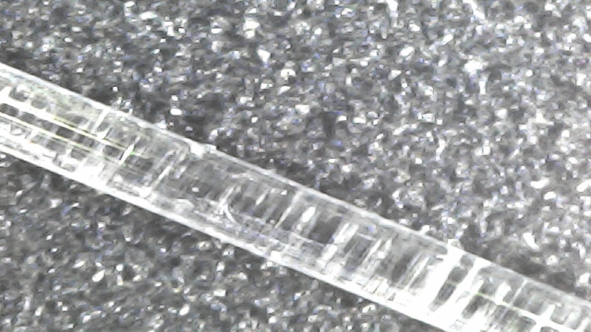 20220113_1211_004_0.000.jpg