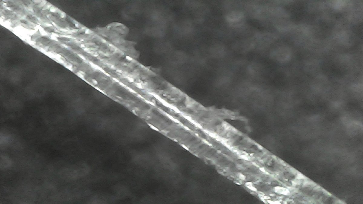 20220113_1227_020_0.000.jpg