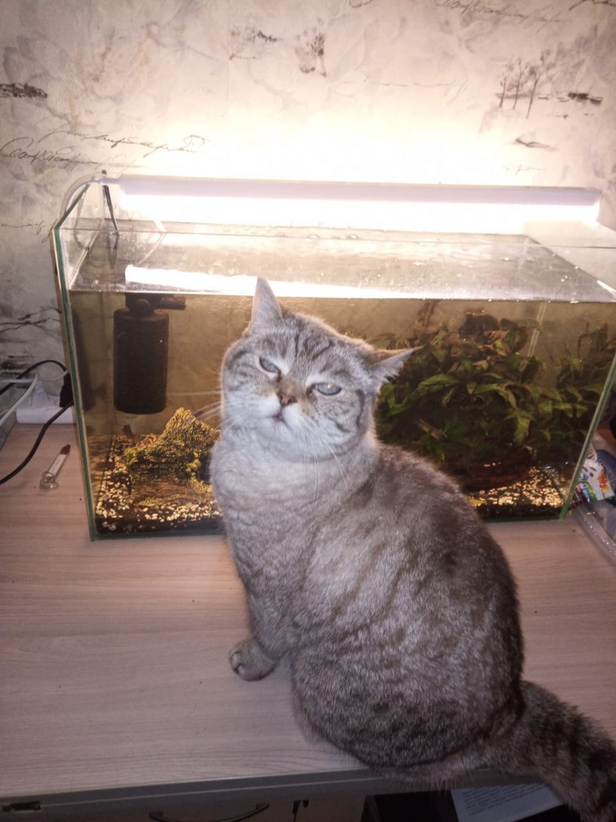 WhatsApp Image 2022-01-22 at 21.51.12 (1).jpeg