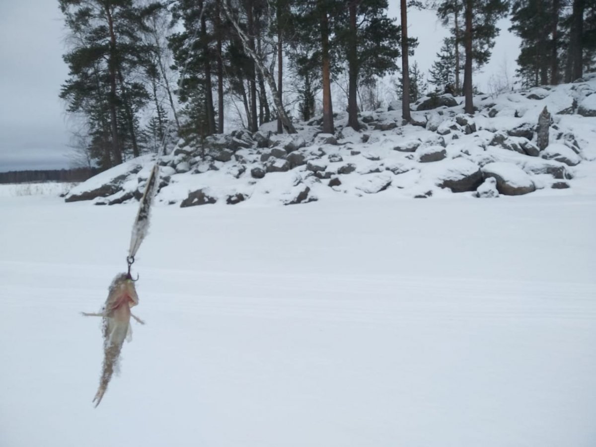 WhatsApp Image 2022-01-30 at 19.07.29.jpeg