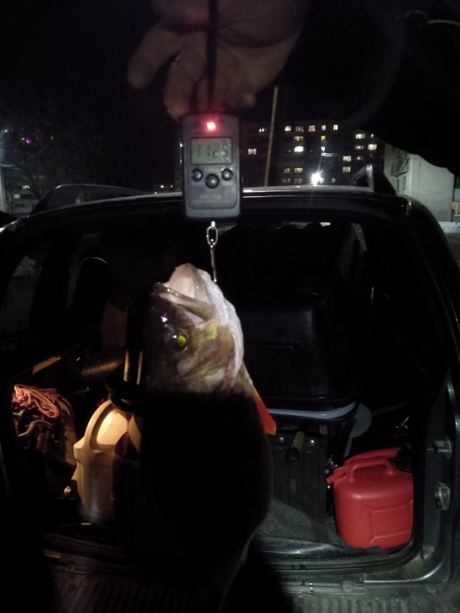 WhatsApp Image 2022-03-12 at 21.28.09.jpeg