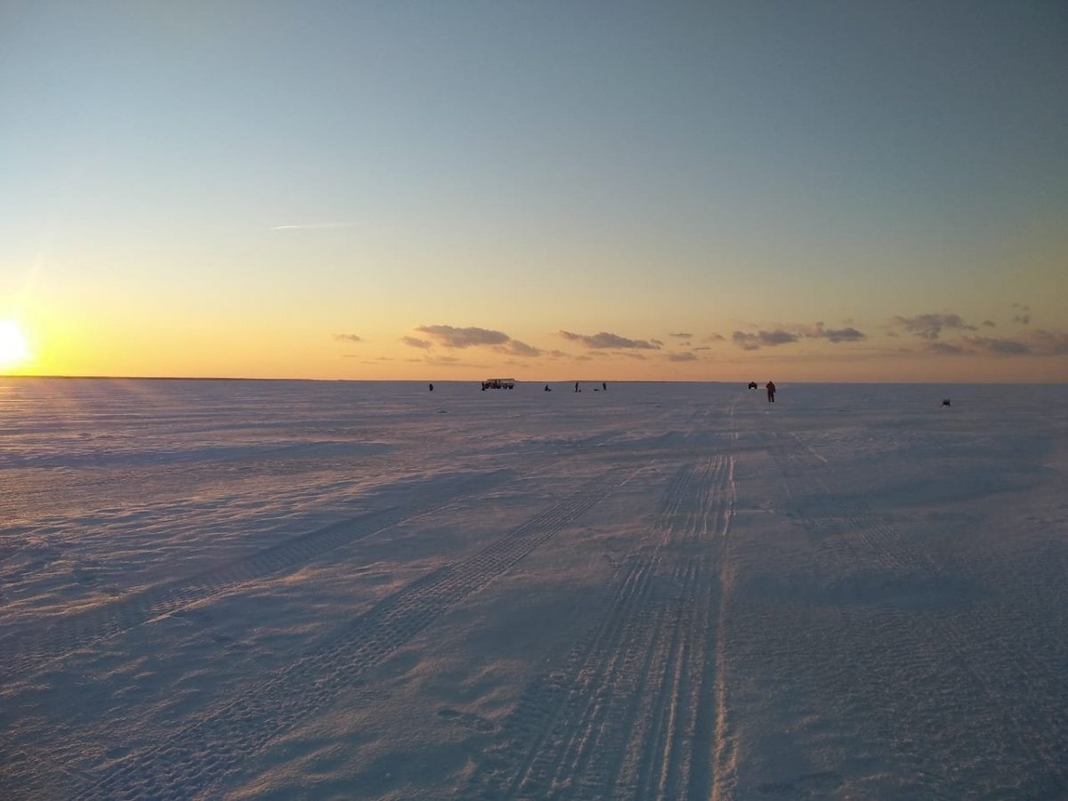 WhatsApp Image 2022-03-29 at 22.37.47.jpeg