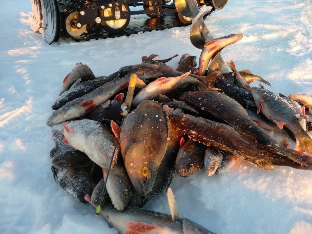 WhatsApp Image 2022-03-29 at 22.37.47(1).jpeg