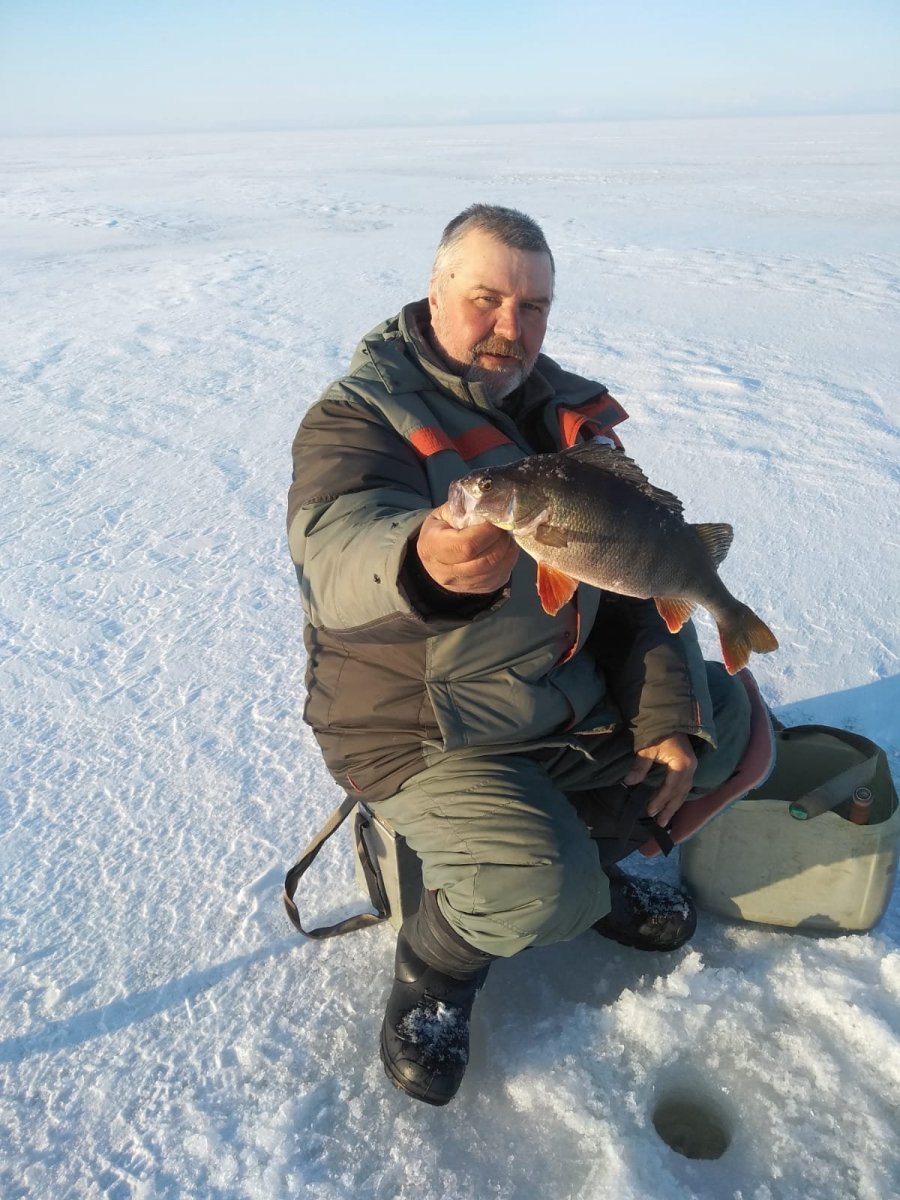 WhatsApp Image 2022-04-02 at 09.39.37.jpeg