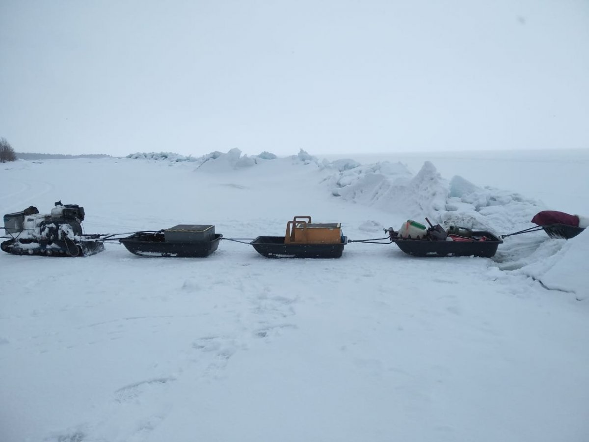 WhatsApp Image 2022-04-09 at 18.07.28.jpeg