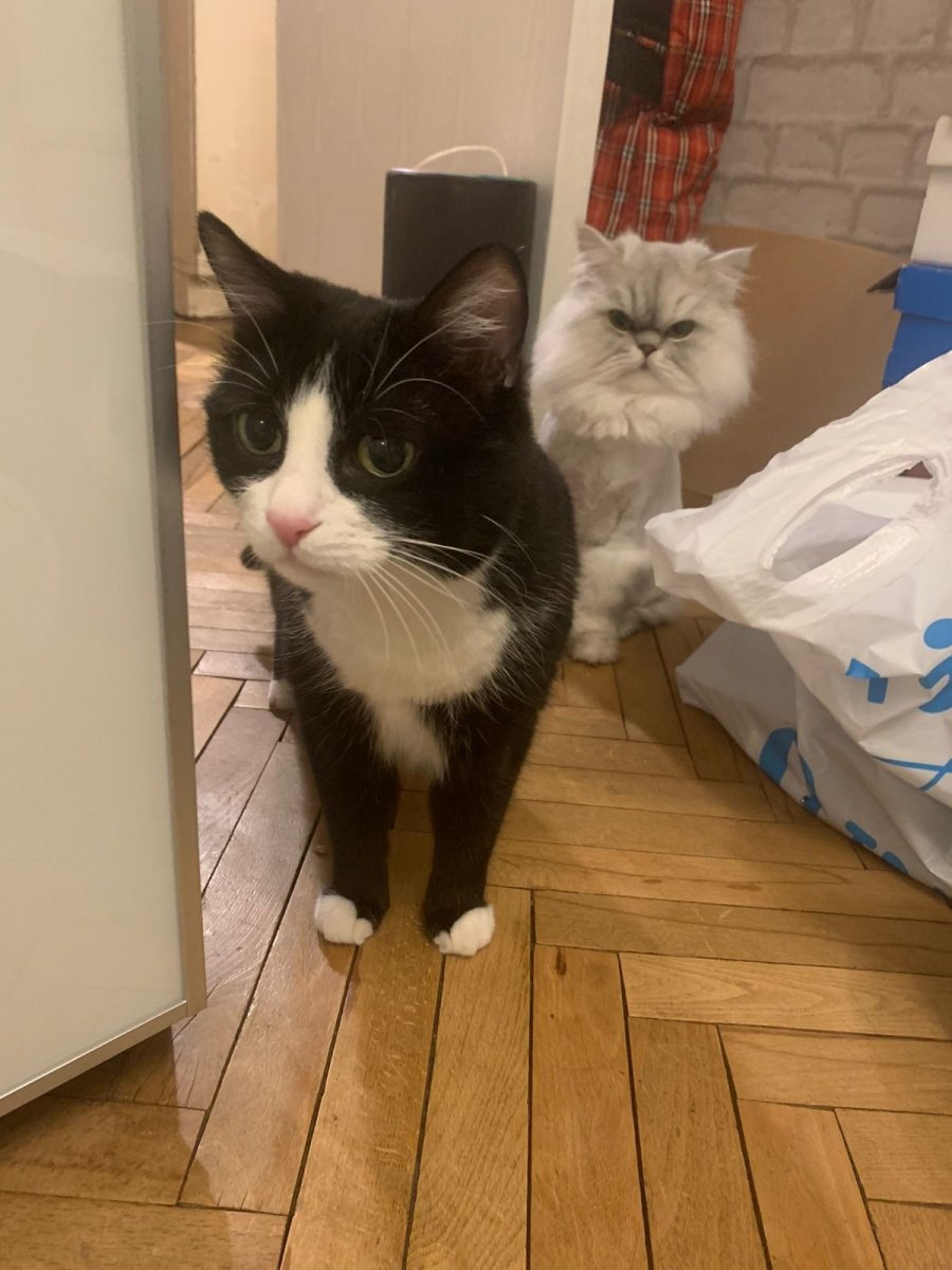 WhatsApp Image 2022-05-19 at 11.32.13.jpeg