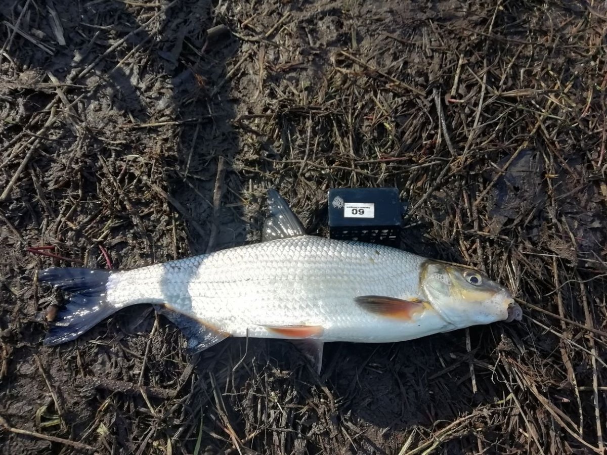 2022-05-03 09-09-02.JPG