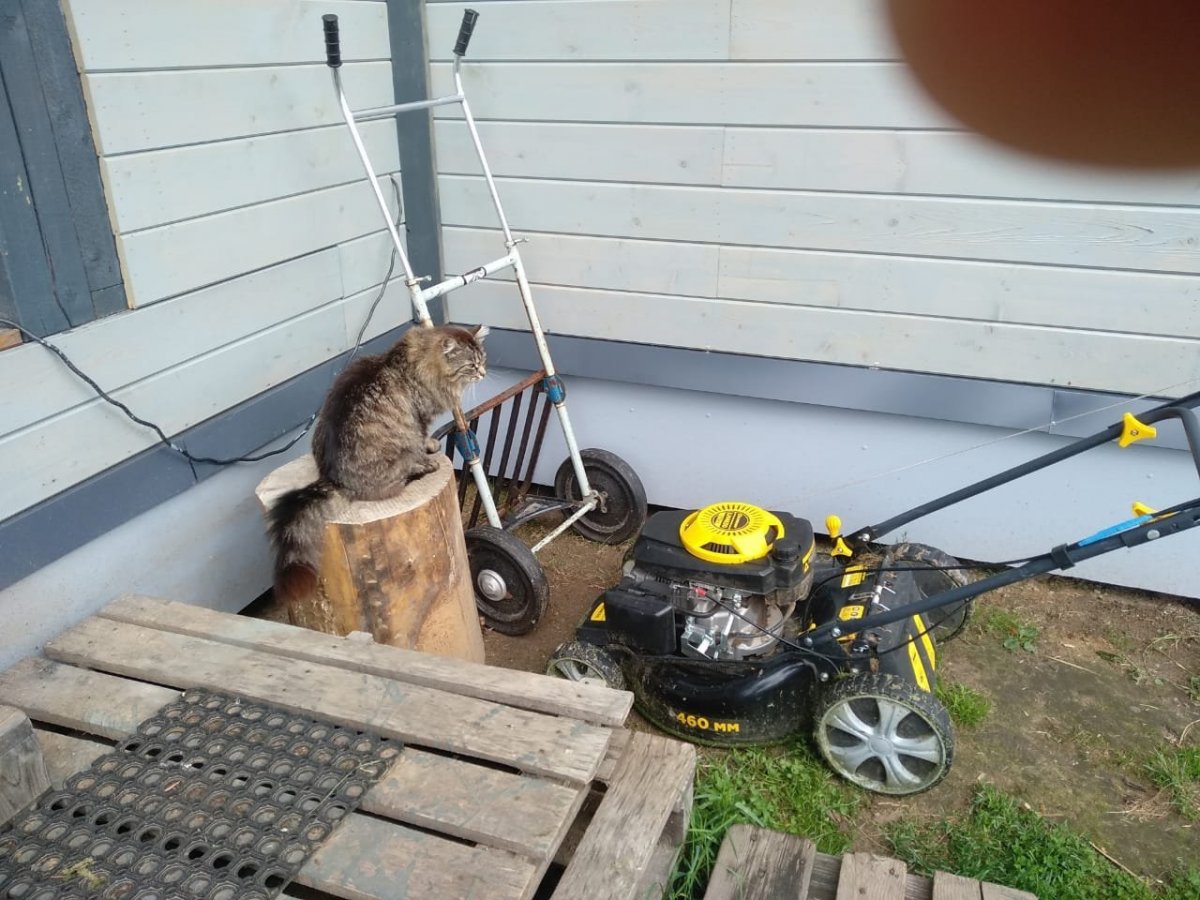 WhatsApp Image 2022-06-16 at 10.54.18(1).jpeg