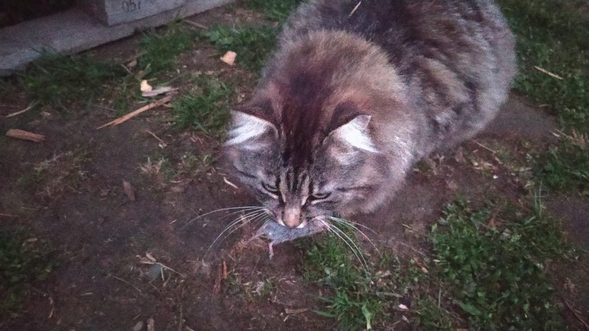 WhatsApp Image 2022-06-07 at 23.04.46.jpeg