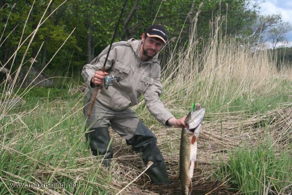 Карась на херабуну