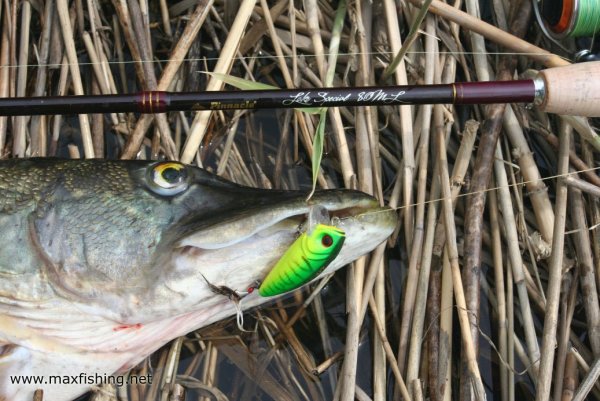 Тесто сыграло (зеленое чесночное)