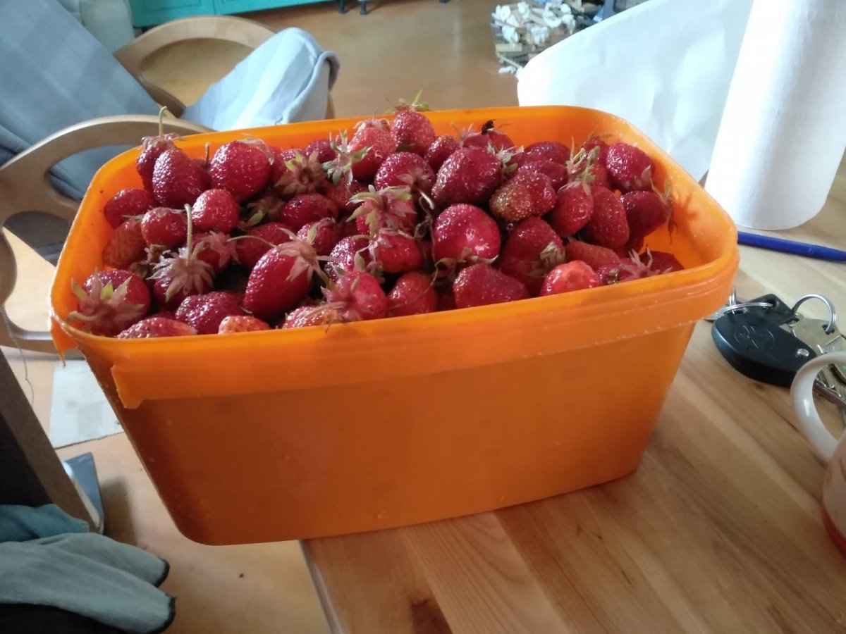 WhatsApp Image 2022-07-12 at 21.17.40.jpeg