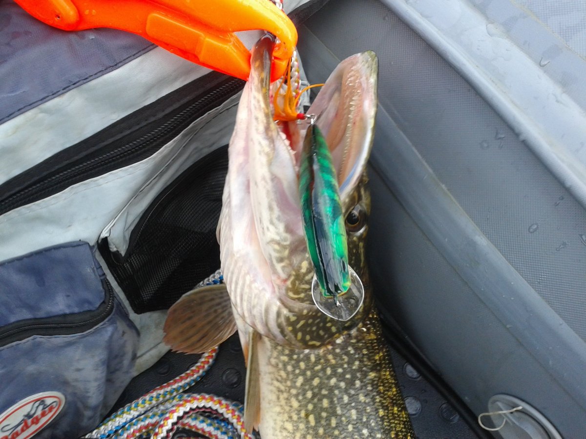 20140524_085425 — копия.jpg