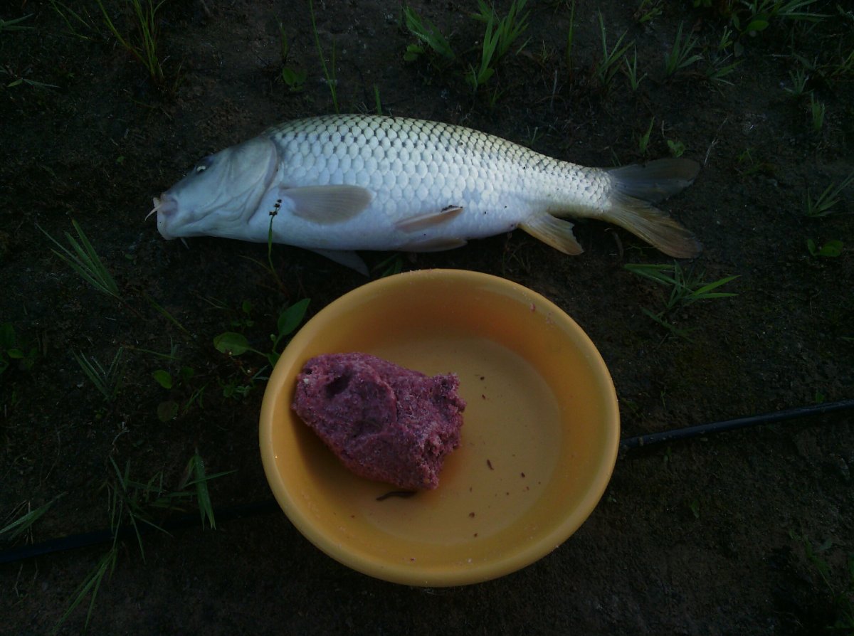 2022-07-19 10.09.38.jpg