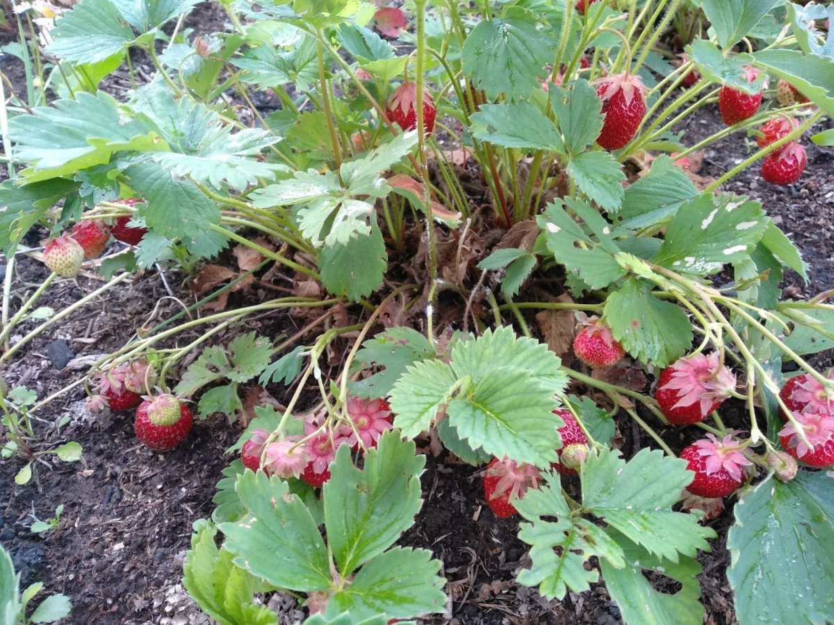 WhatsApp Image 2022-07-12 at 21.17.41.jpeg