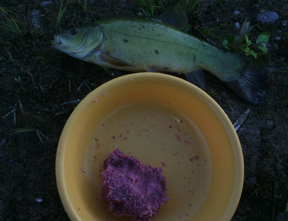 2022-07-19 10.14.01.jpg