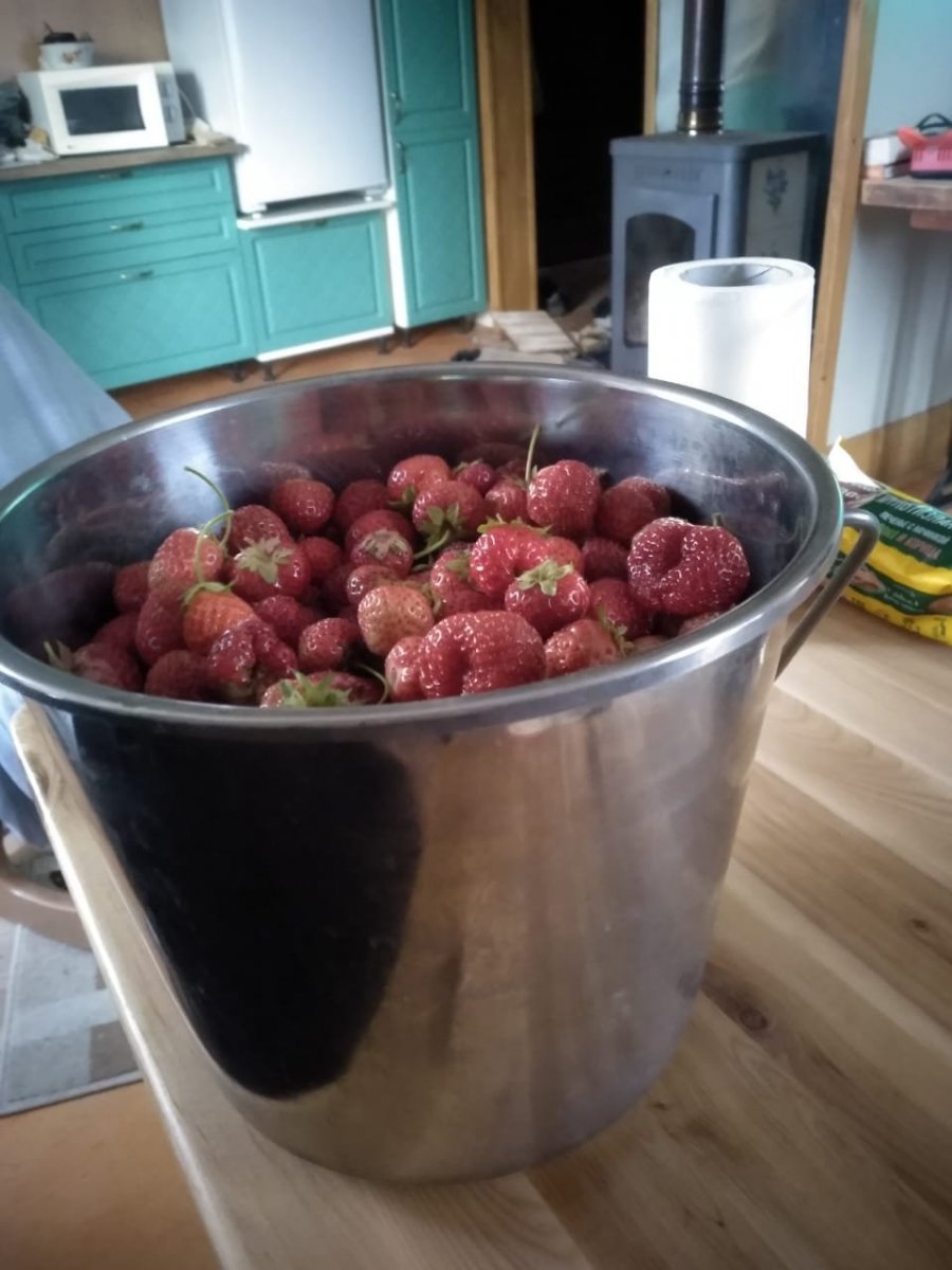 WhatsApp Image 2022-07-12 at 21.17.39.jpeg