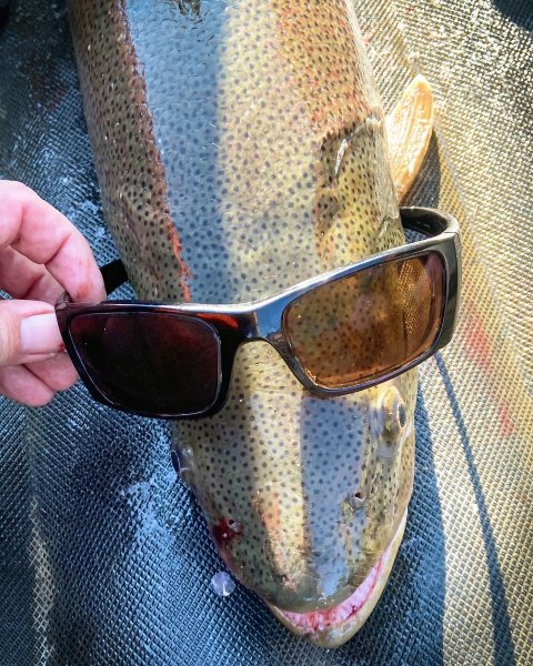 Сахалинский таймень 2022