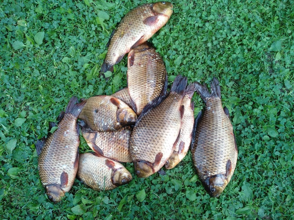 WhatsApp Image 2022-09-01 at 20.04.30.jpeg