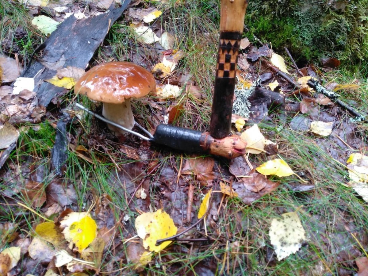 WhatsApp Image 2022-09-21 at 10.20.12.jpeg