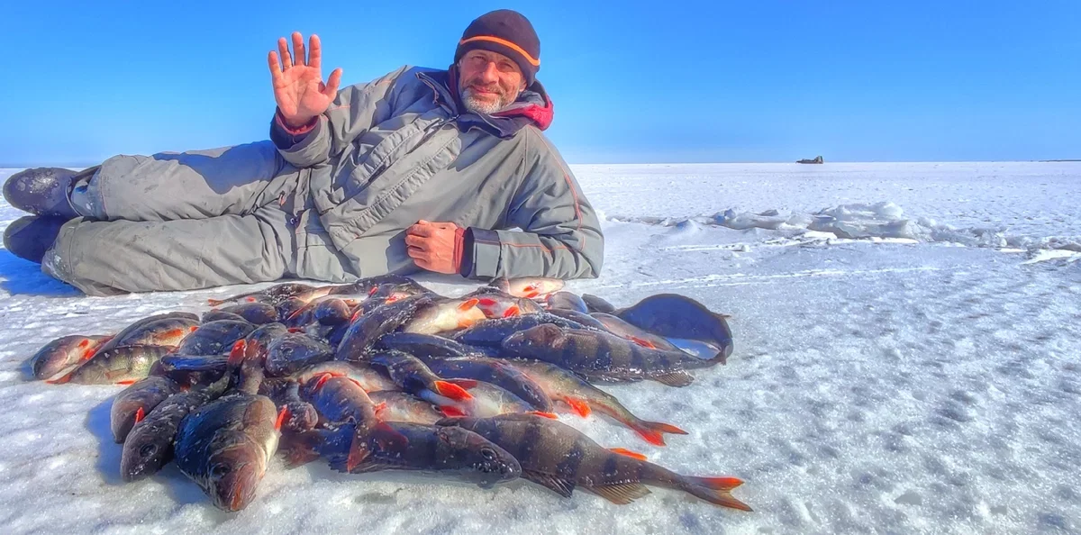 Максим Балачевцев новые видео зимней рыбалки на блесну