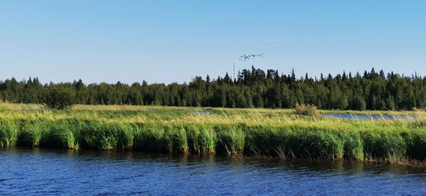 Рыбалка в Карелии, Август 2022.