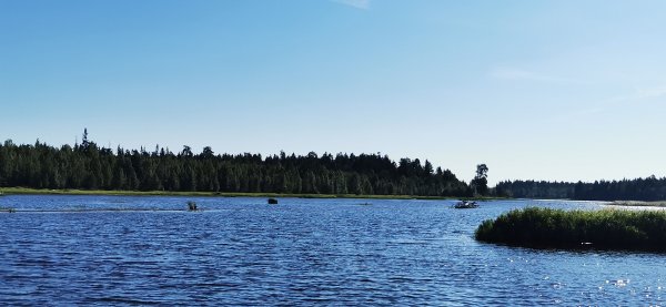 Рыбалка в Карелии, Август 2022.