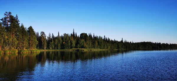 Рыбалка в Карелии, Август 2022.