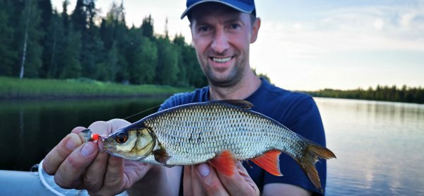 Рыбалка в Карелии, Август 2022. Краснопер?