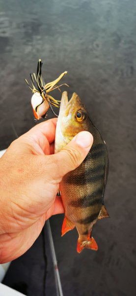 Рыбалка в Карелии, Август 2022. Макарек