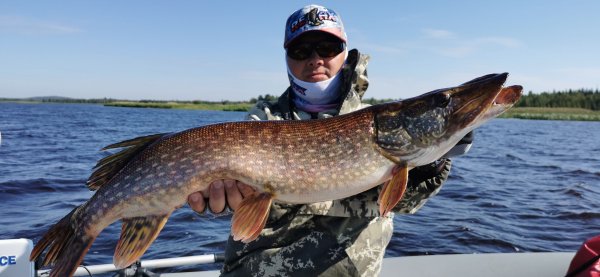 Рыбалка в Карелии, Август 2022. Двушка