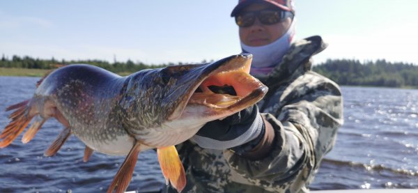 Рыбалка в Карелии, Август 2022. Двушка