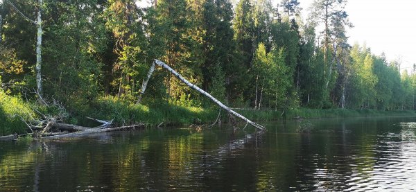 Рыбалка в Карелии, Август 2022.