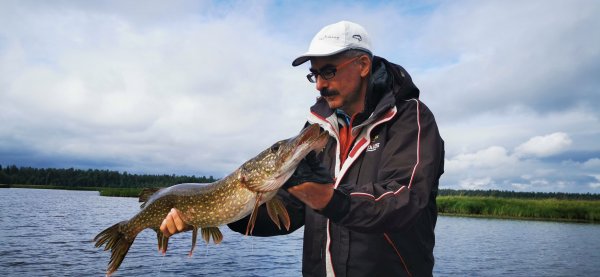 Рыбалка в Карелии, Август 2022. Четвера