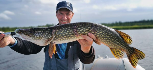 Рыбалка в Карелии, Август 2022. Почти пятера, которую ели