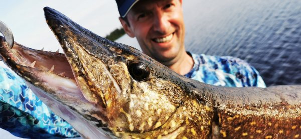 Рыбалка в Карелии, Август 2022. Шесть