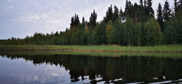 Рыбалка в Карелии, Август 2022.