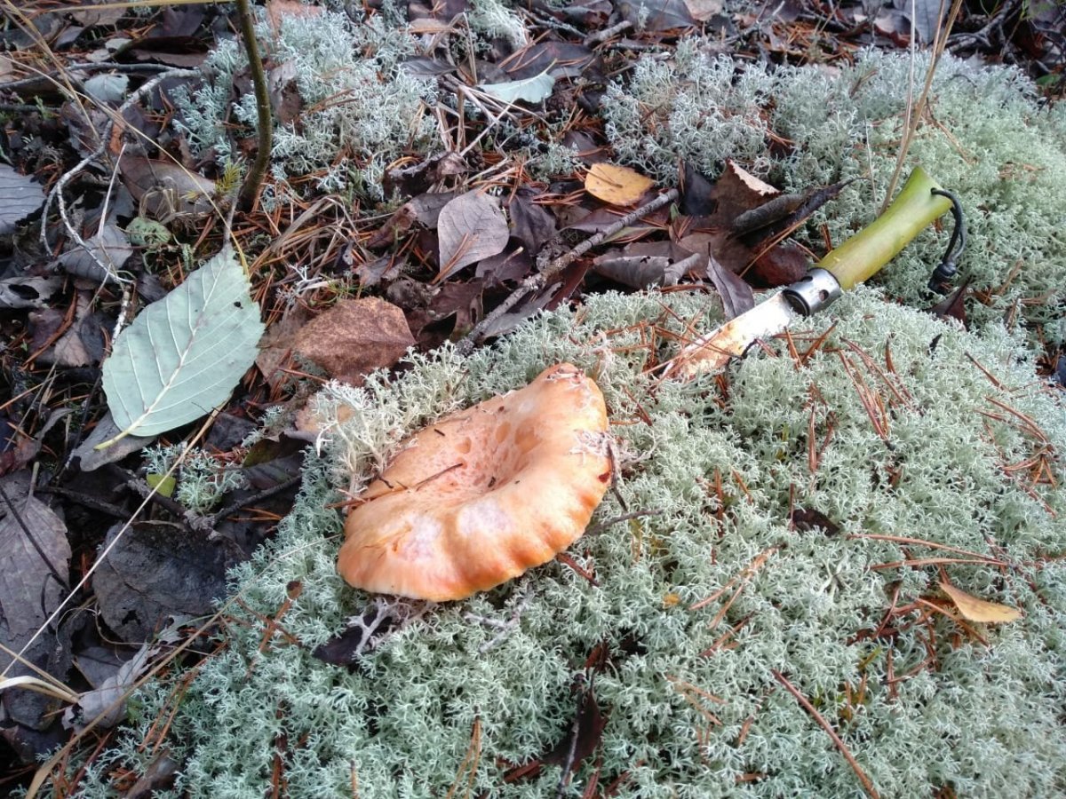 WhatsApp Image 2022-10-25 at 18.15.34.jpeg