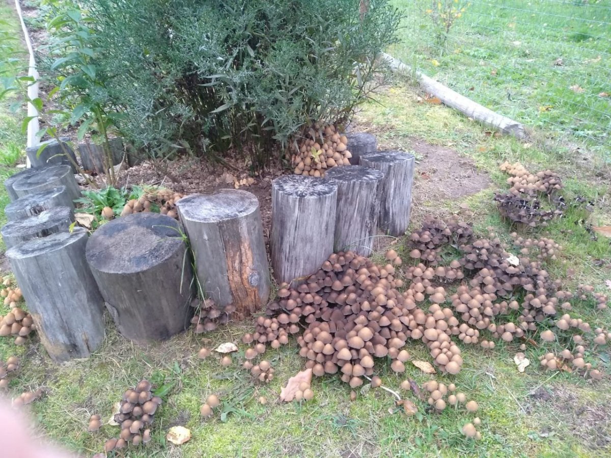 WhatsApp Image 2022-10-07 at 20.28.16.jpeg