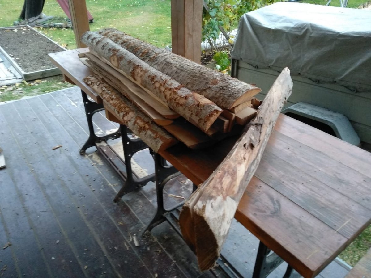 WhatsApp Image 2022-10-23 at 17.25.38.jpeg